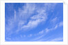 Feathery Cirrus Clouds by Anonymous
