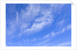Feathery Cirrus Clouds by Anonymous
