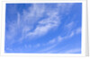 Feathery Cirrus Clouds by Anonymous