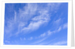 Feathery Cirrus Clouds by Anonymous