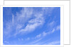 Feathery Cirrus Clouds by Anonymous