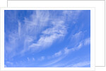 Feathery Cirrus Clouds by Anonymous