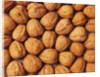 Walnuts by Anonymous