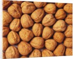 Walnuts by Anonymous