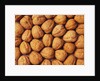 Walnuts by Anonymous