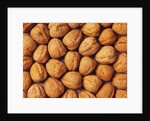 Walnuts by Anonymous