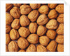 Walnuts by Anonymous