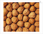 Walnuts by Anonymous