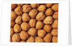 Walnuts by Anonymous