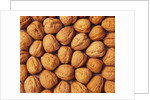 Walnuts by Anonymous