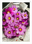 Bouquet of Cosmos Flowers by Anonymous