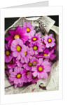 Bouquet of Cosmos Flowers by Anonymous