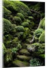 Footpath Through Garden by Anonymous