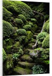Footpath Through Garden by Anonymous