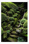 Footpath Through Garden by Anonymous