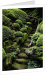 Footpath Through Garden by Anonymous