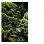 Footpath Through Garden by Anonymous