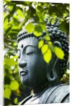 Buddha in Senso-ji Temple Garden by Anonymous