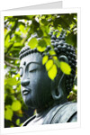Buddha in Senso-ji Temple Garden by Anonymous