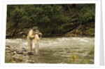 Father and Son Fly Fishing in Moose Creek by Anonymous