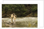 Father and Son Fly Fishing in Moose Creek by Anonymous