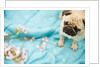 Pug on a Turquoise Blanket by Anonymous