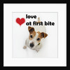 Love at First Bite by Anonymous