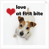 Love at First Bite by Anonymous