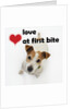 Love at First Bite by Anonymous