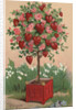 To One I Love Postcard by Anonymous