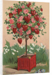To One I Love Postcard by Anonymous
