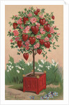 To One I Love Postcard by Anonymous