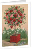 To One I Love Postcard by Anonymous