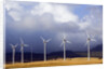 Wind Farm in Spain by Anonymous