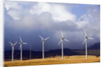 Wind Farm in Spain by Anonymous