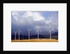 Wind Farm in Spain by Anonymous