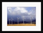 Wind Farm in Spain by Anonymous