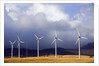 Wind Farm in Spain by Anonymous