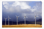 Wind Farm in Spain by Anonymous