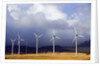 Wind Farm in Spain by Anonymous