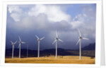 Wind Farm in Spain by Anonymous