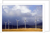 Wind Farm in Spain by Anonymous