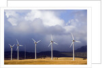 Wind Farm in Spain by Anonymous