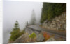 Mountain Road Through the Fog by Anonymous