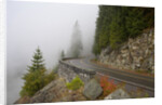 Mountain Road Through the Fog by Anonymous