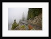 Mountain Road Through the Fog by Anonymous