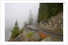 Mountain Road Through the Fog by Anonymous