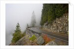 Mountain Road Through the Fog by Anonymous
