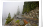 Mountain Road Through the Fog by Anonymous