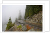 Mountain Road Through the Fog by Anonymous